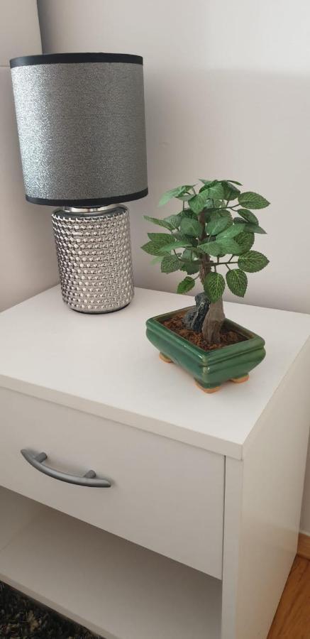 זאגרב Apartman Aura מראה חיצוני תמונה